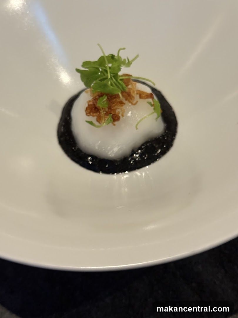 Gourmet Appetizer