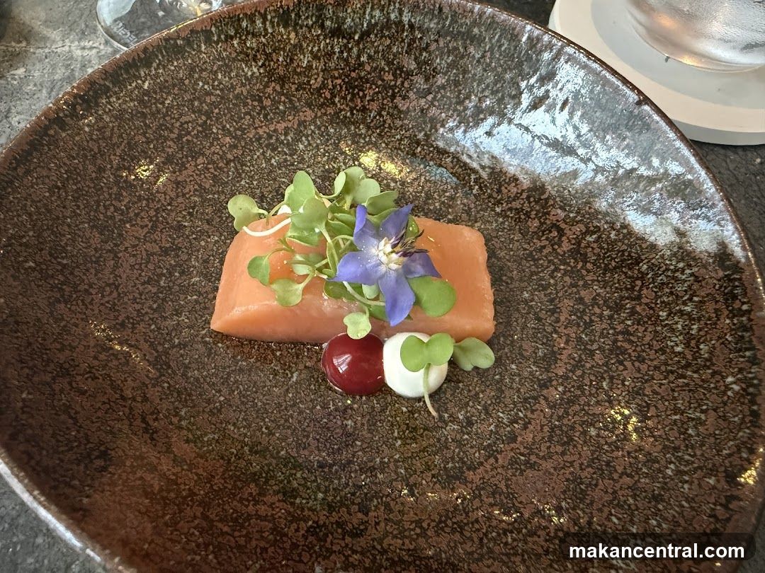 Salmon Appetizer