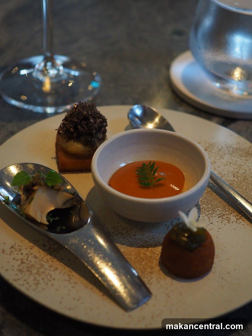Gourmet Appetizers