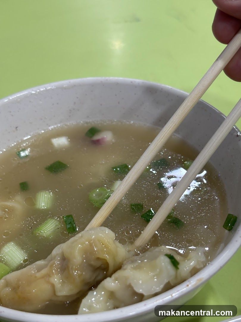 Wonton Soup