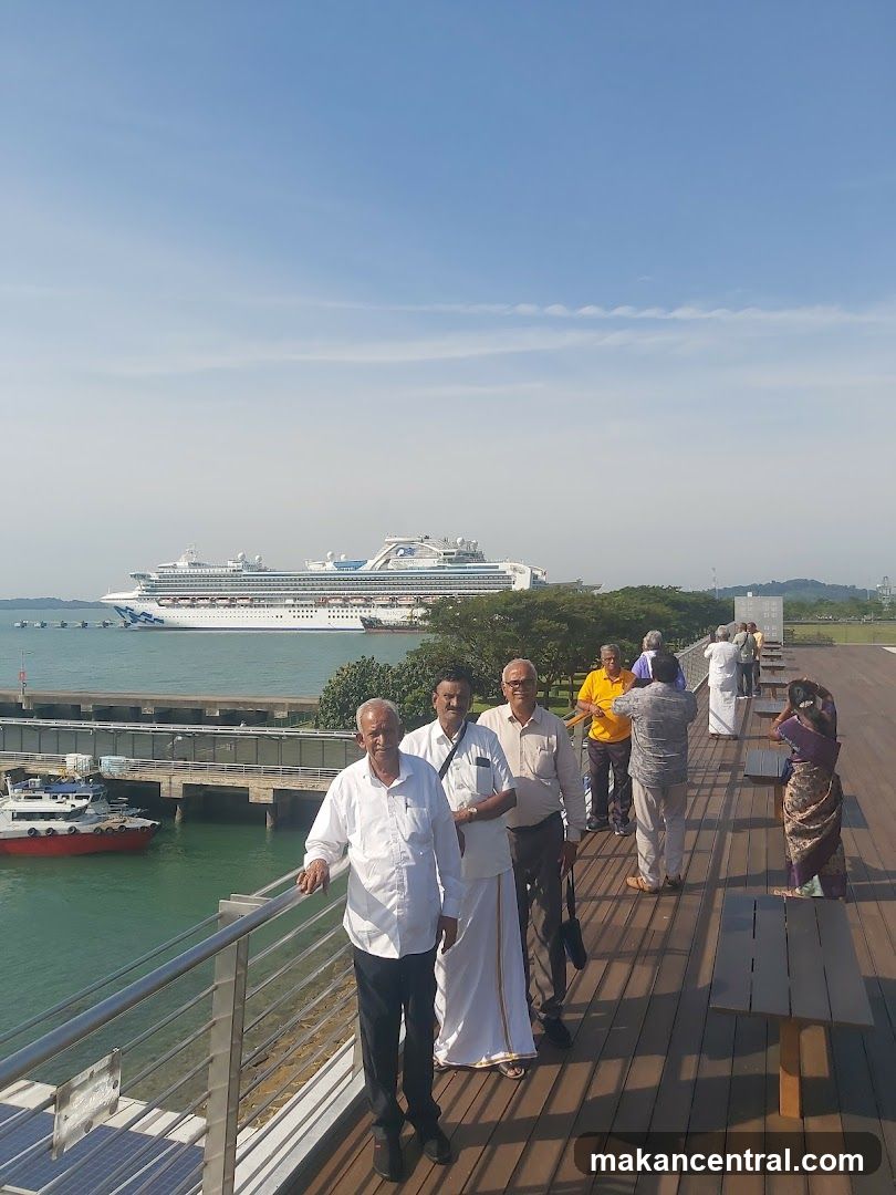 People on a boardwalk with a cruise ship in the background