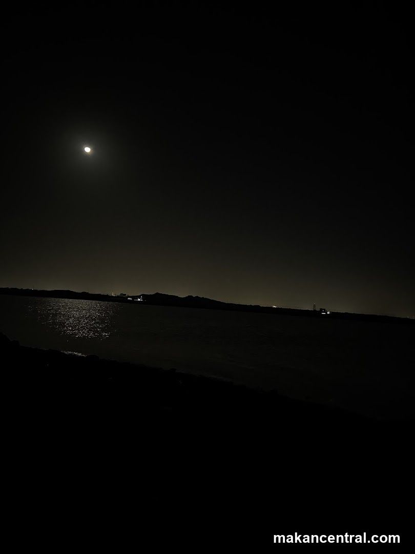 Moonlit seascape