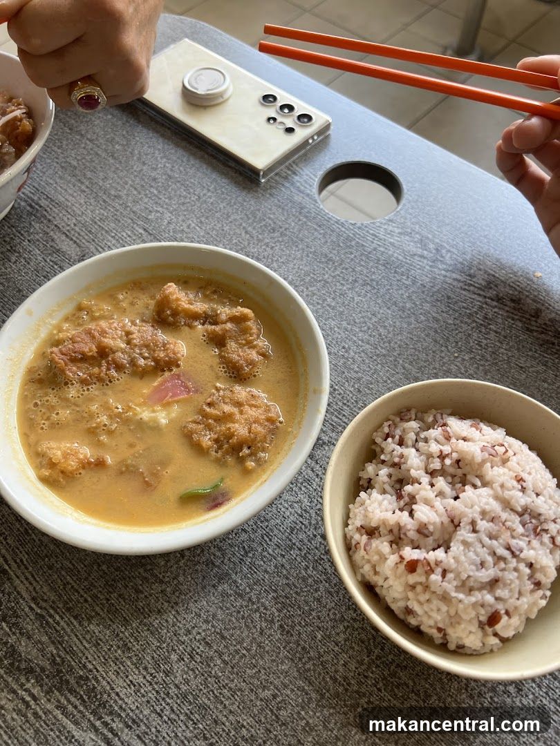 Meal with Rice and Curry