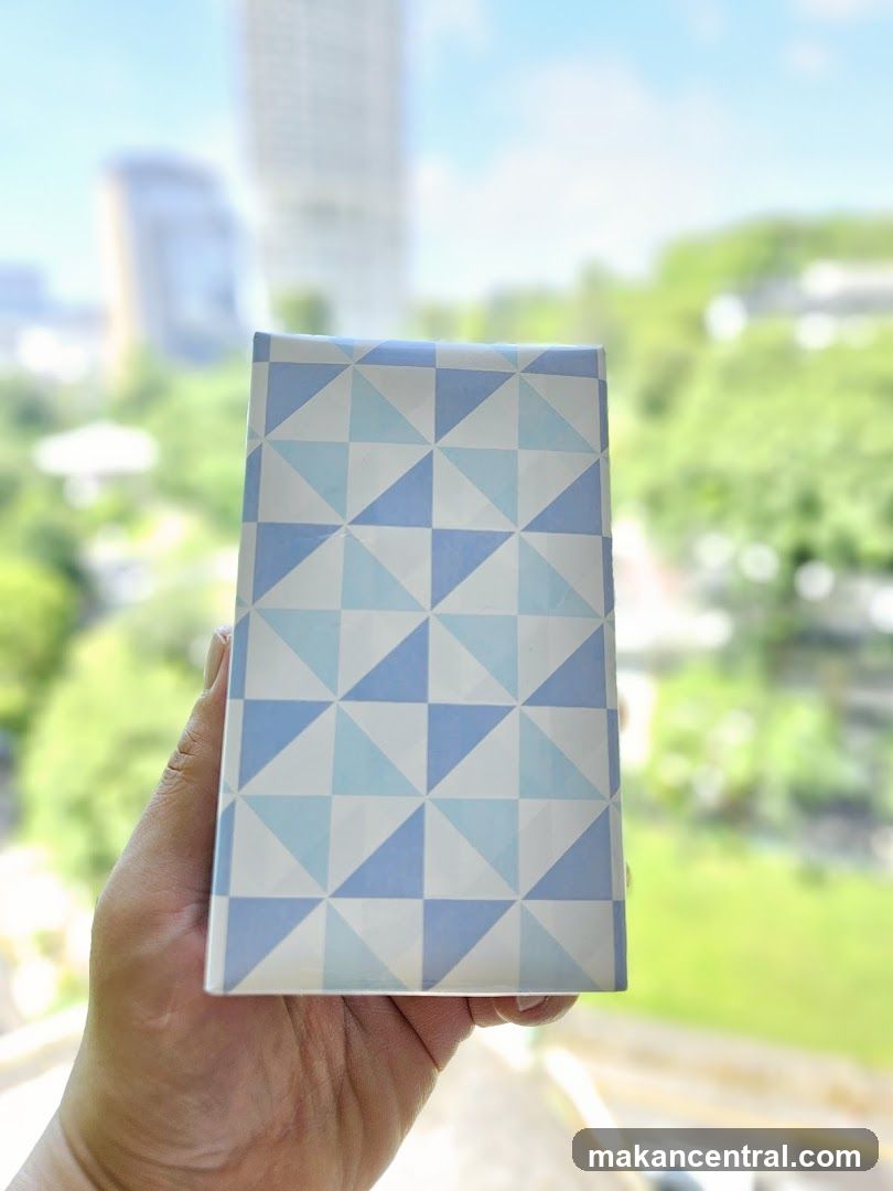 Hand Holding Geometric Patterned Object