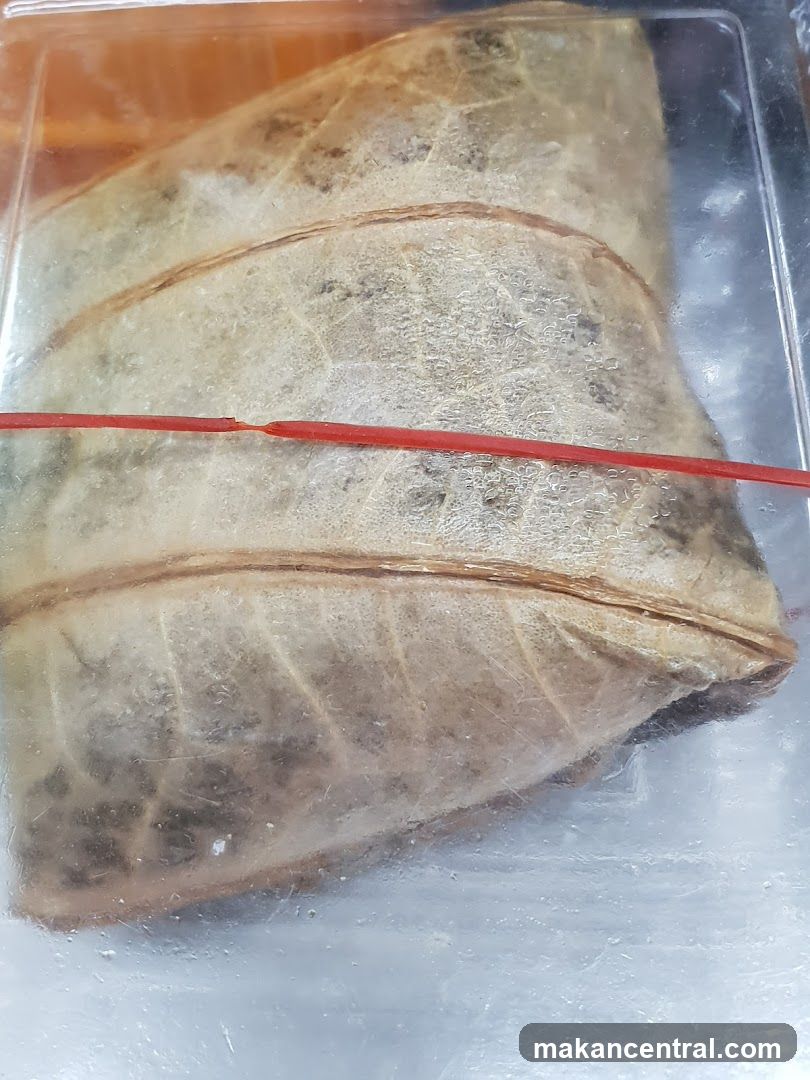 Wrapped Food Item