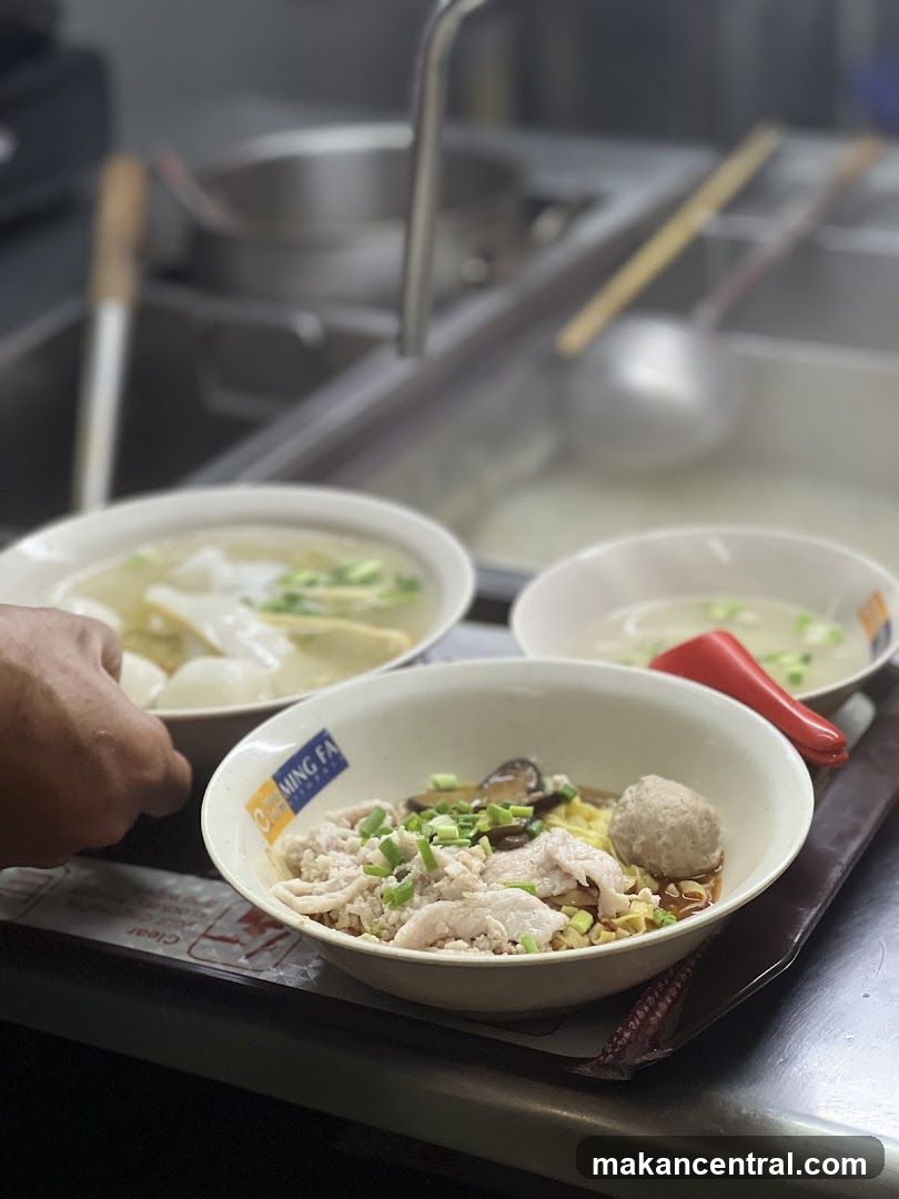 Noodle Bowls