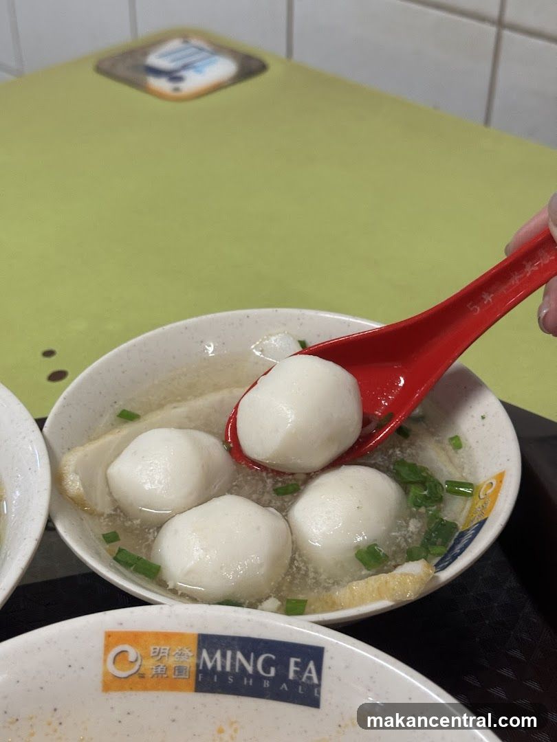 Fishball Soup