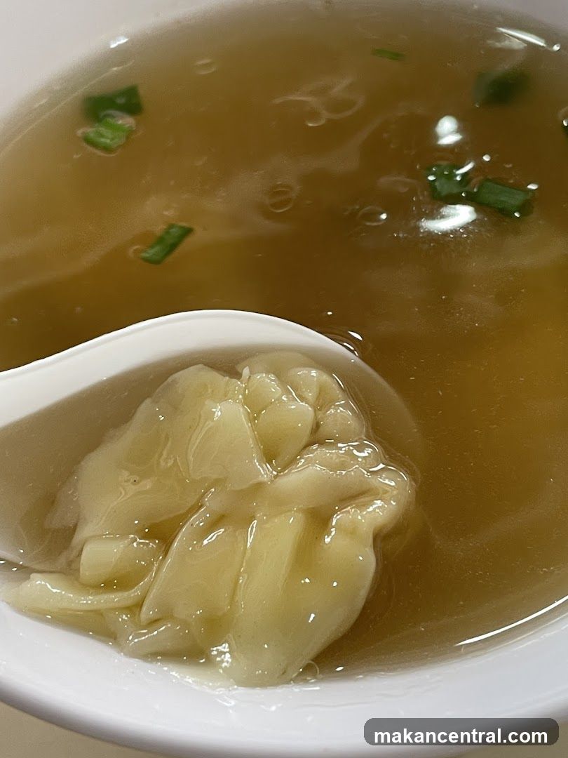 Wonton Soup