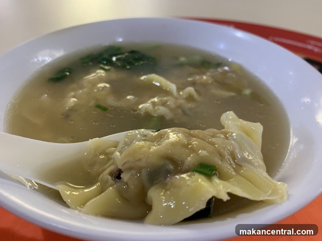 Wonton Soup