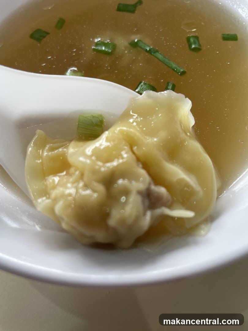 Wonton Soup