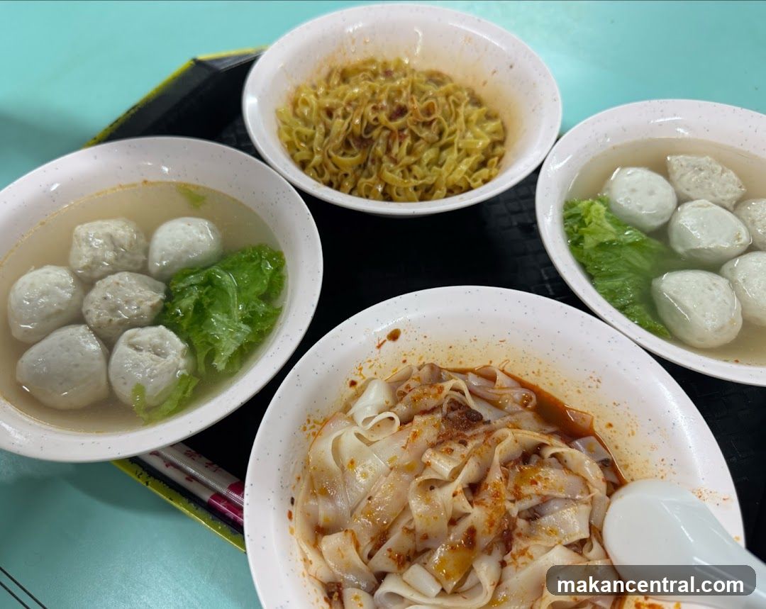 Hong Xing Handmade Fishball & Meatball Noodle