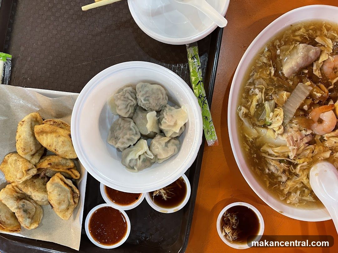 Dumplings and Noodle Soup