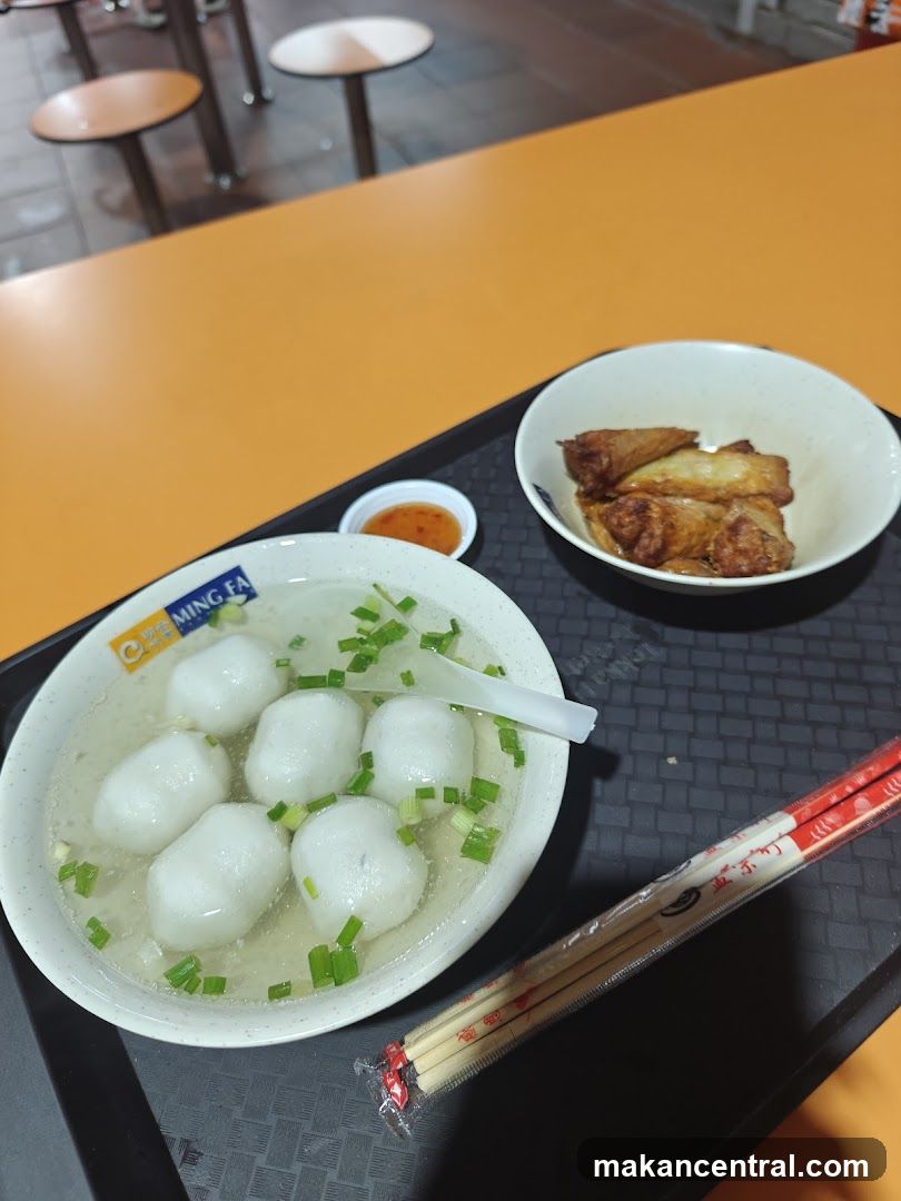 Fish Ball Soup and Fried Spring Rolls
