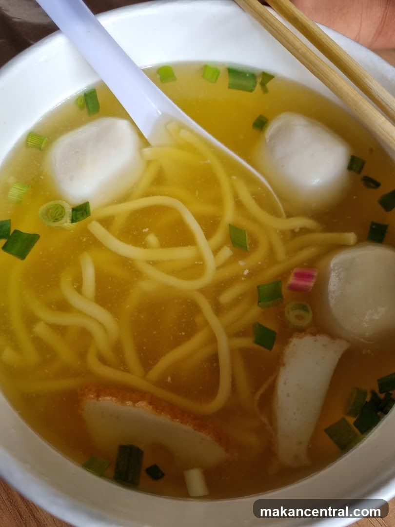 Noodle Soup
