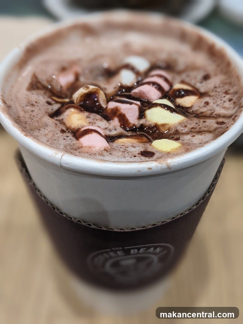 Hot Chocolate with Marshmallows