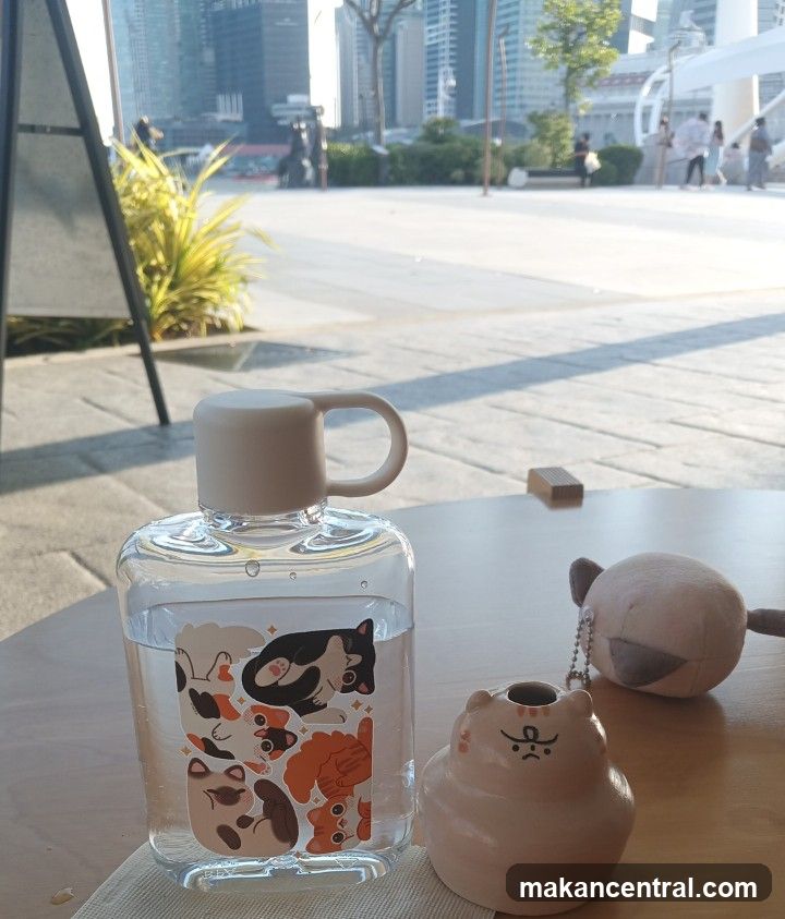 Water bottle with cat stickers and ceramic cat figurine