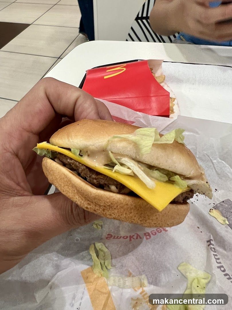 Burger and Fries