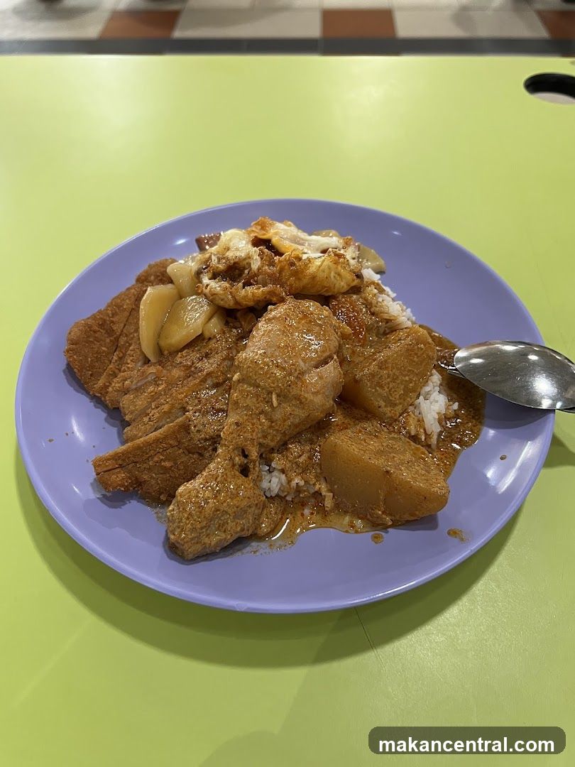 Curry Chicken and Pork Rice