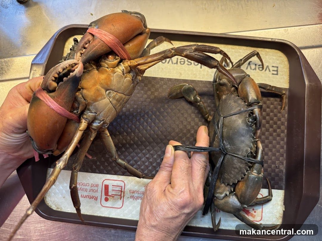 Two crabs on a tray
