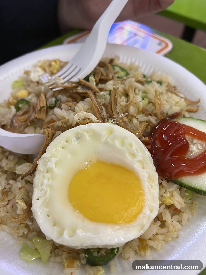 Fried Rice with Fried Egg