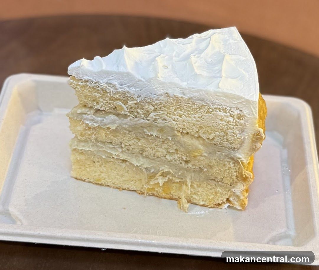 Slice of Cake