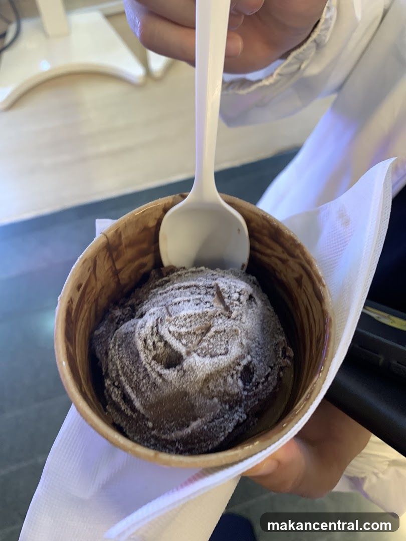 Chocolate Ice Cream in a Cup