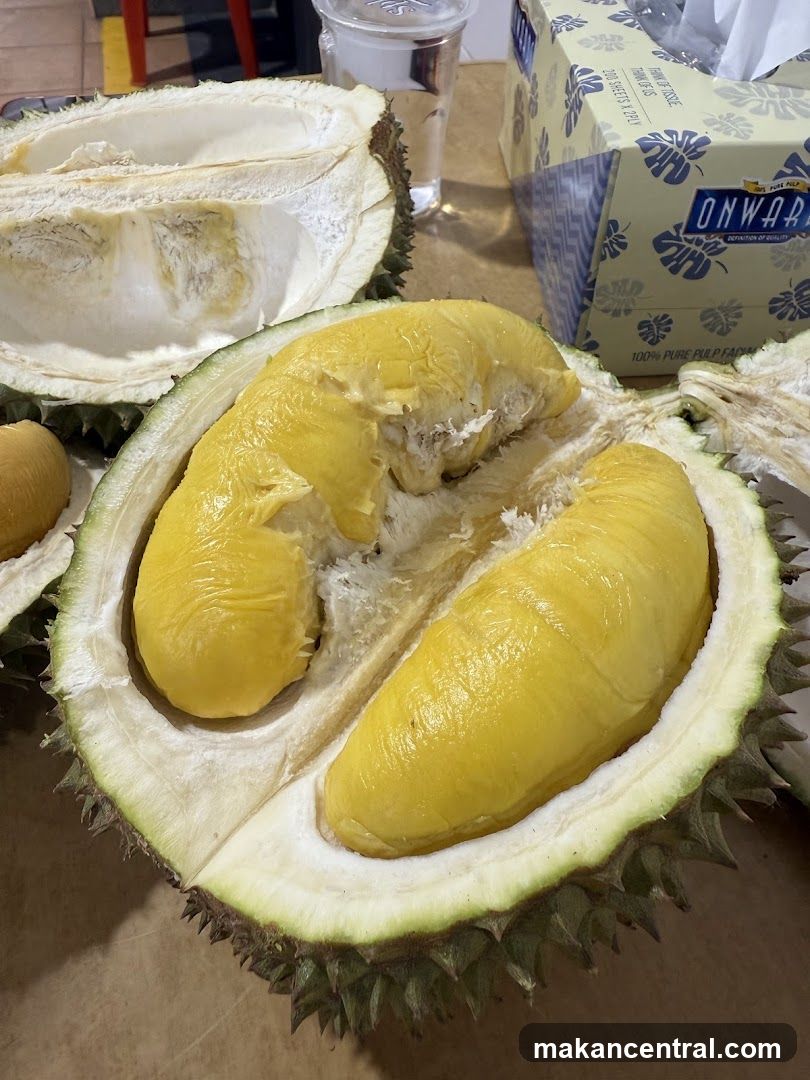 Fresh Durian Fruit
