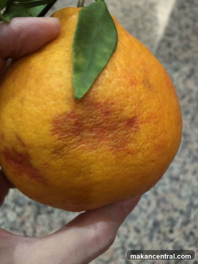 Orange with Leaf