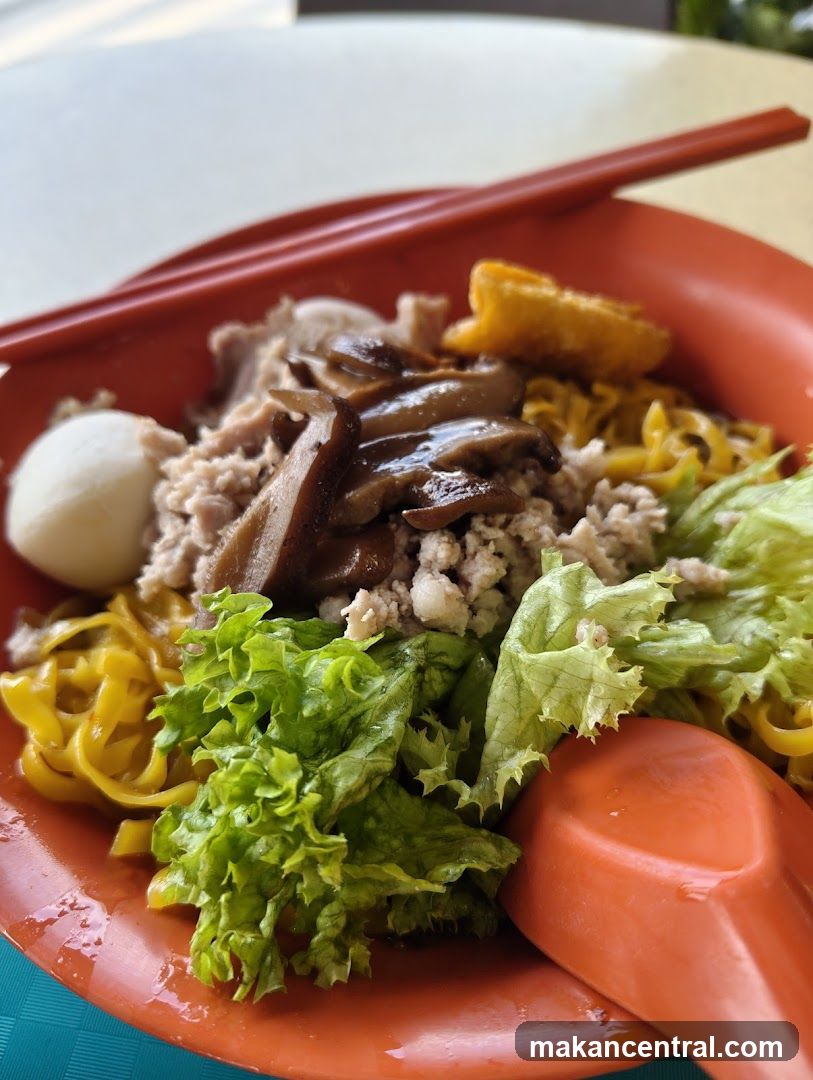 Noodles with Toppings