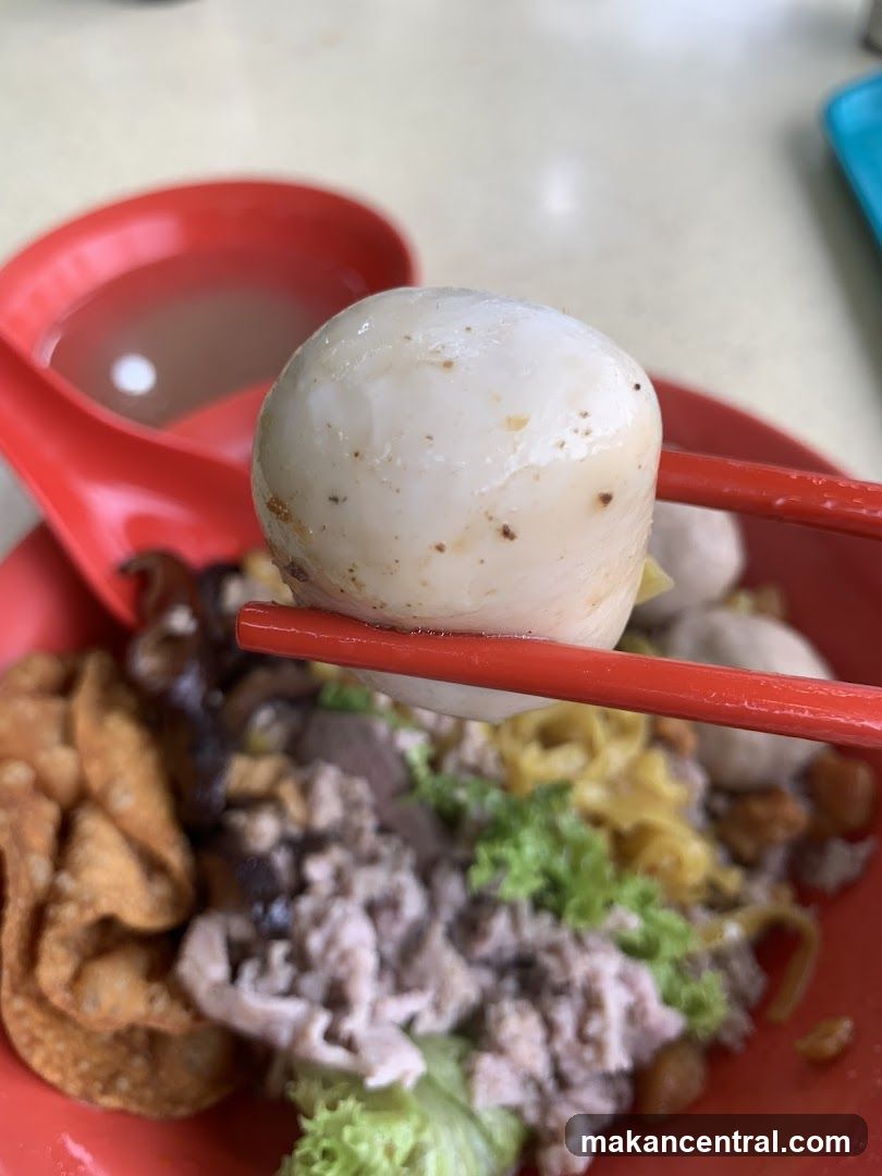 Noodle Dish with Egg and Meat