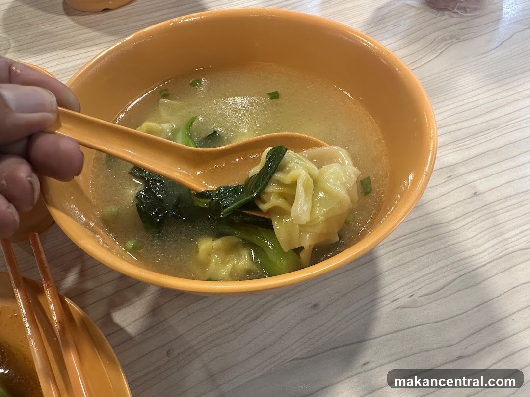 Wonton Soup