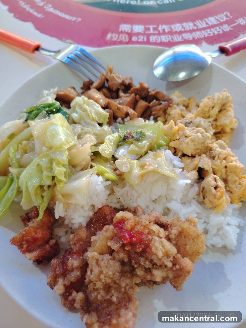 Rice plate with various toppings