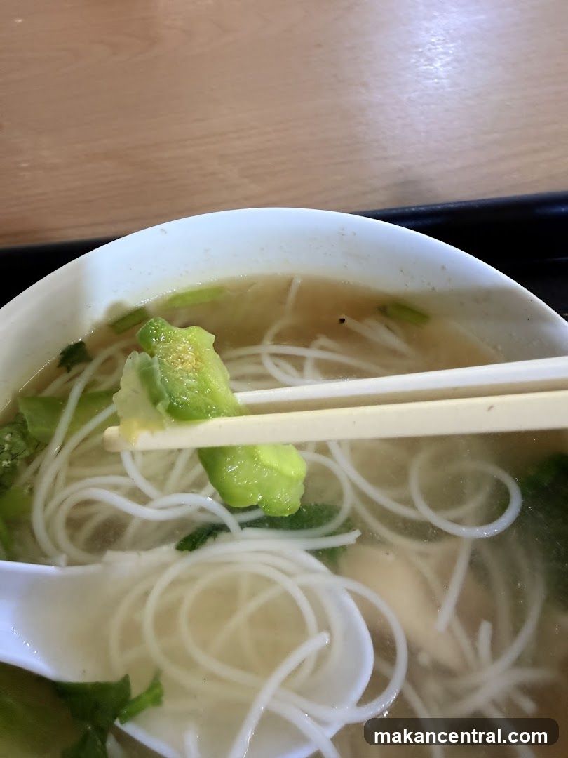 Noodle Soup