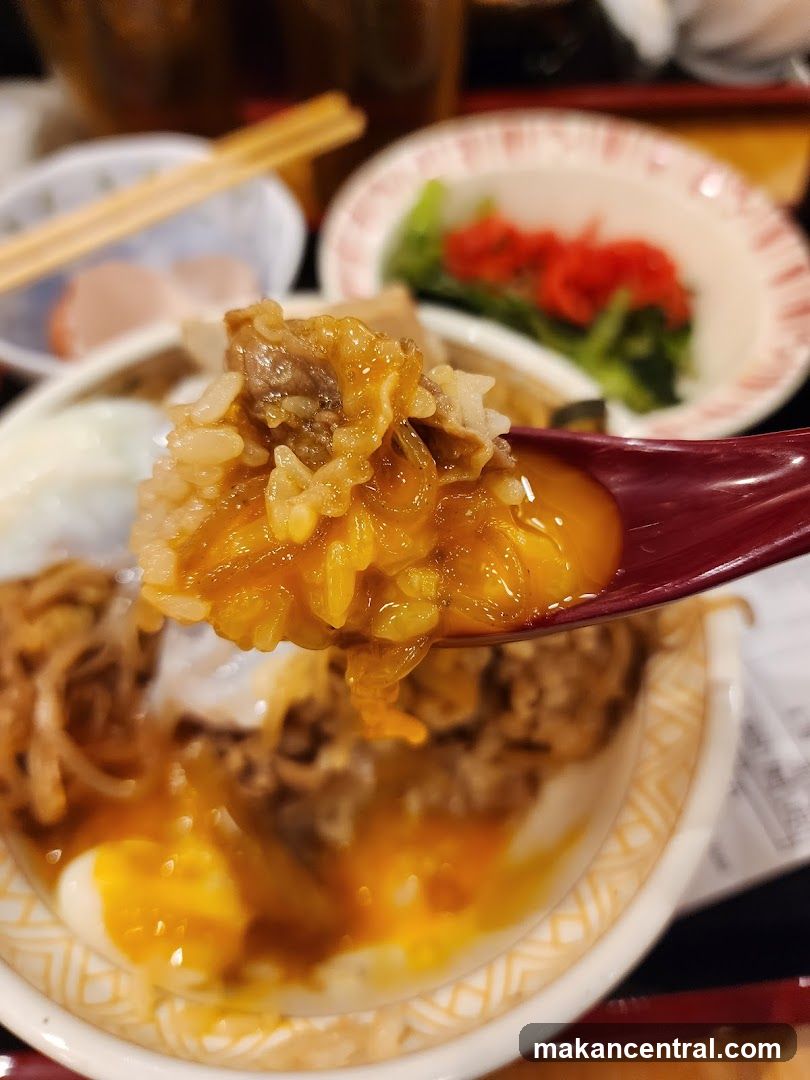 Beef and Rice Bowl