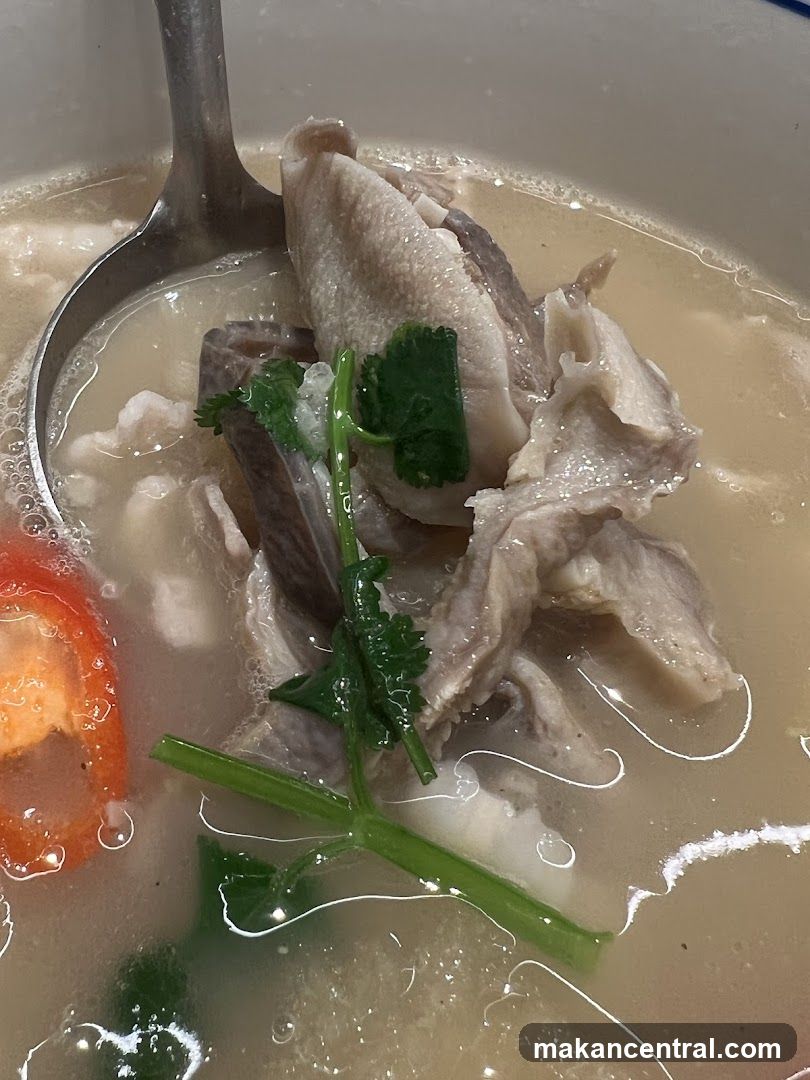 Close-up of a bowl of soup with meat and herbs
