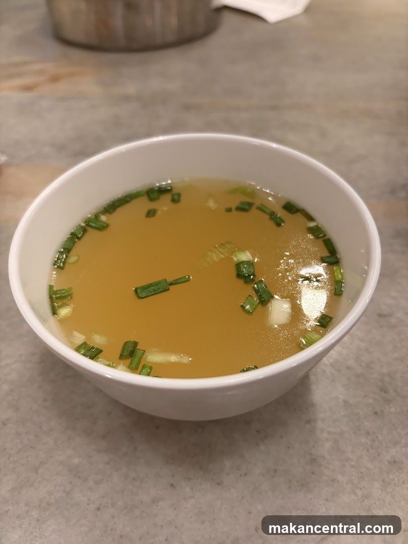 Bowl of Broth with Scallions