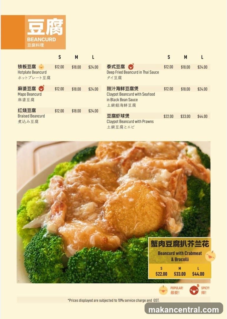 BEANCURD