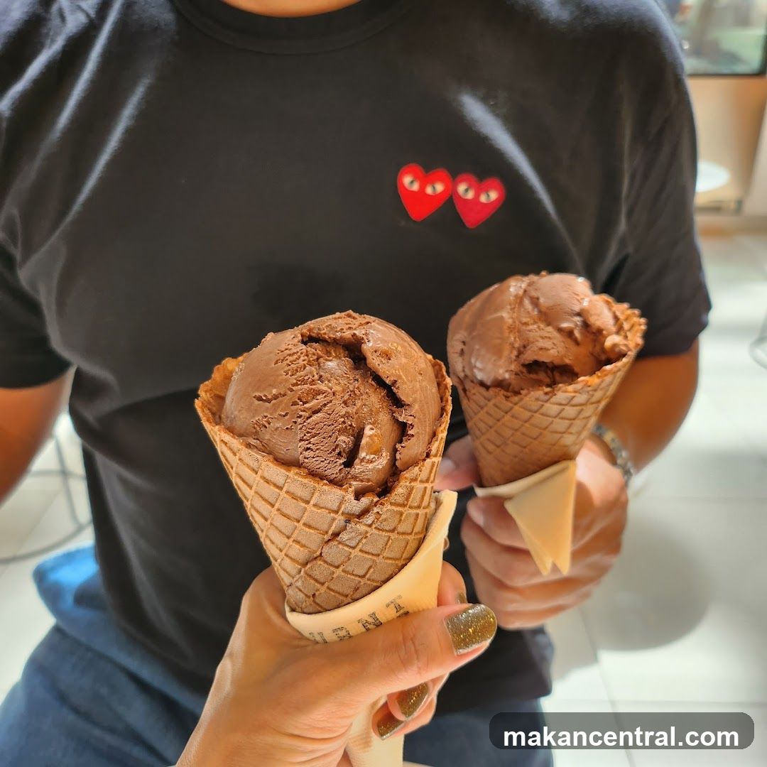 Two Chocolate Ice Cream Cones