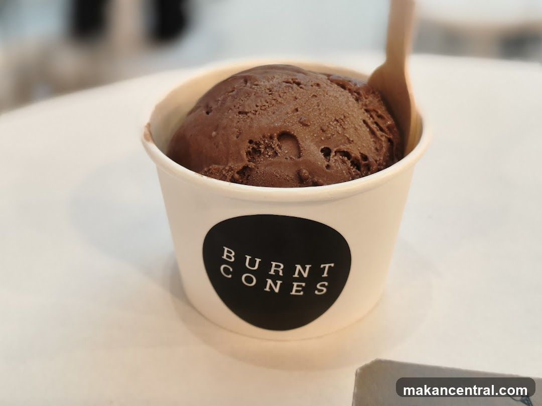 Chocolate Ice Cream Cup