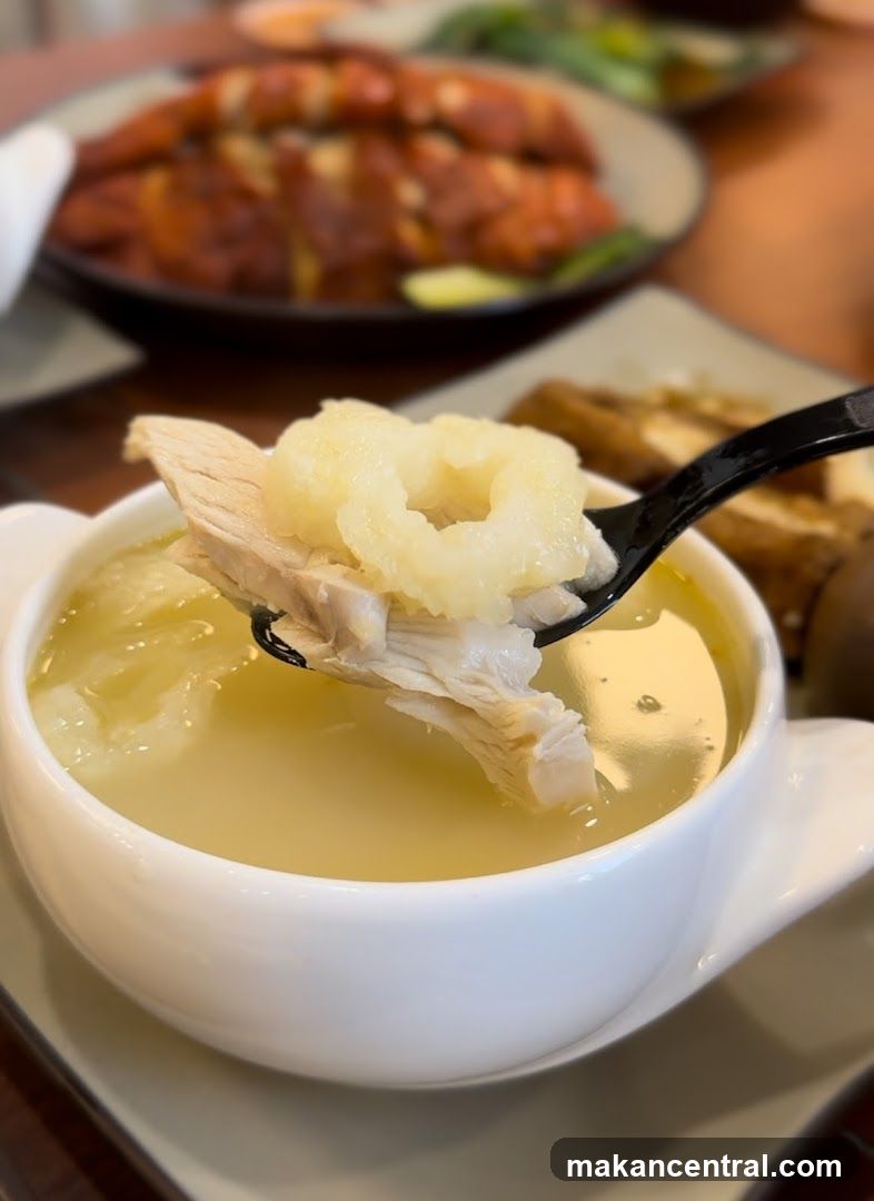 Chicken Soup with Gristle