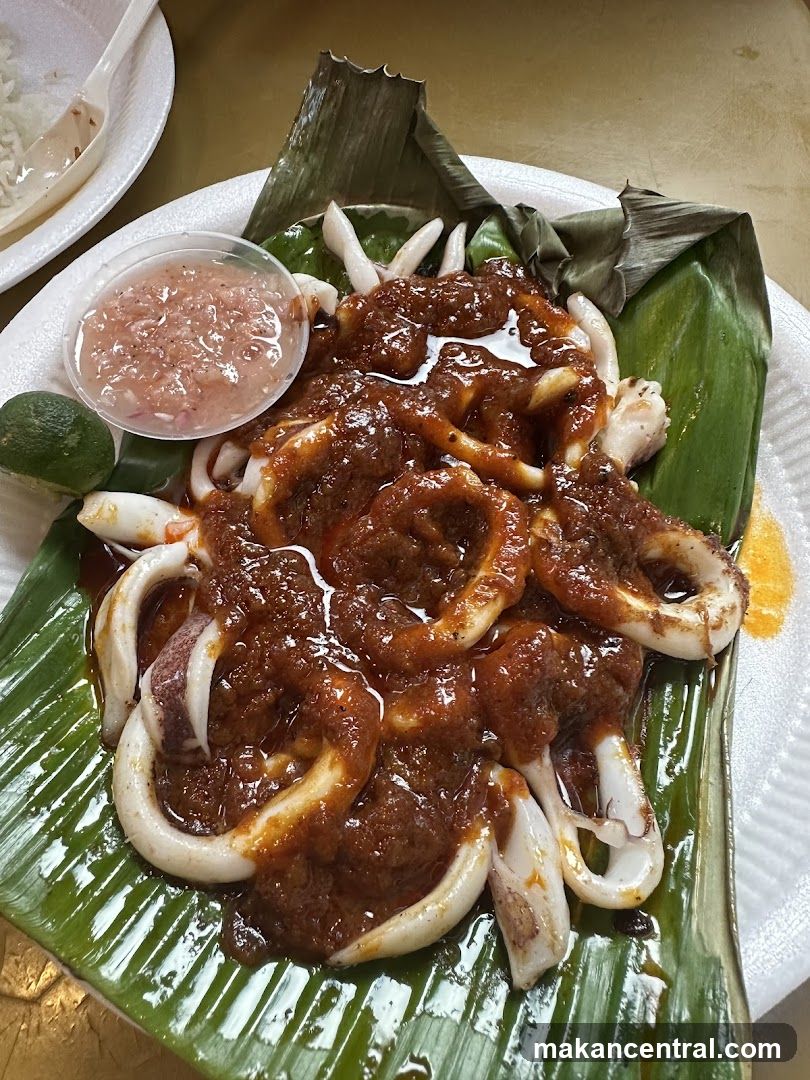 Squid with Sauce