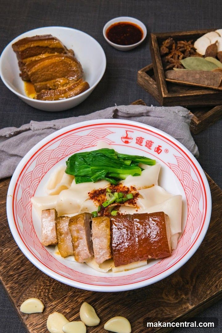 Braised Pork Noodles