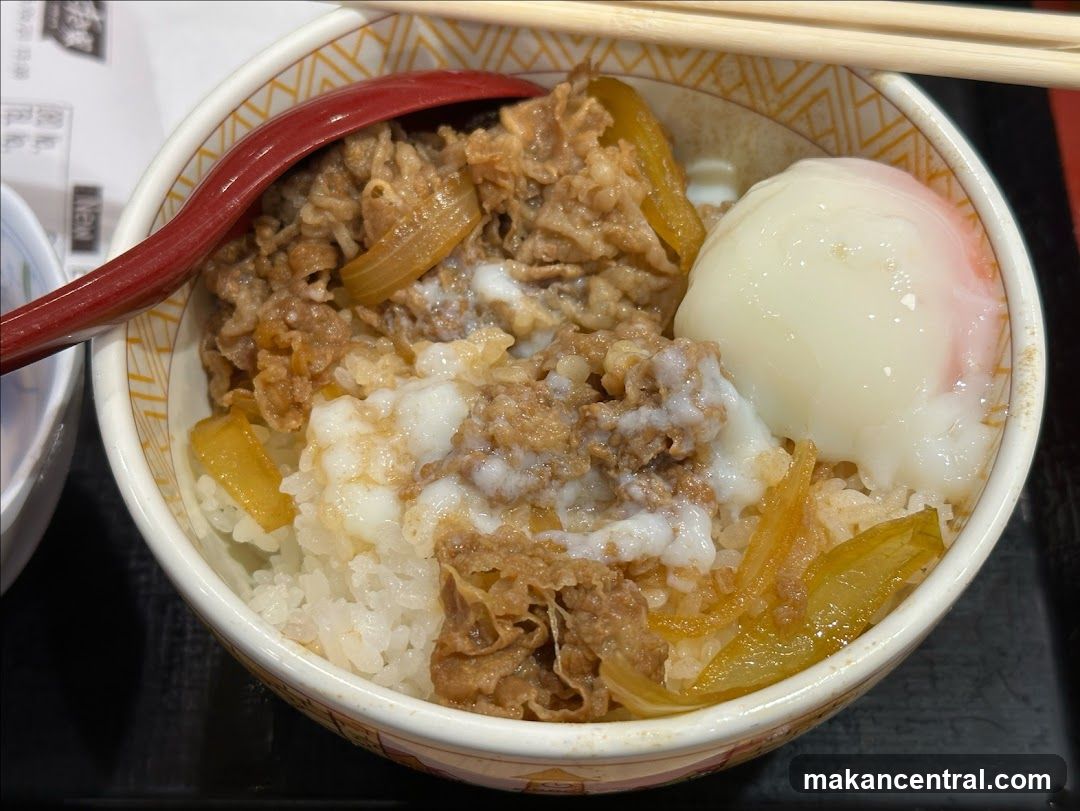 Beef and Rice Bowl with Egg
