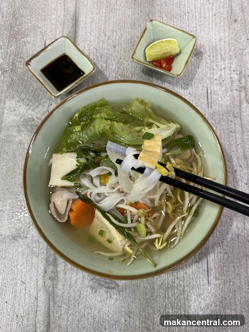 Noodle Soup with Tofu and Vegetables