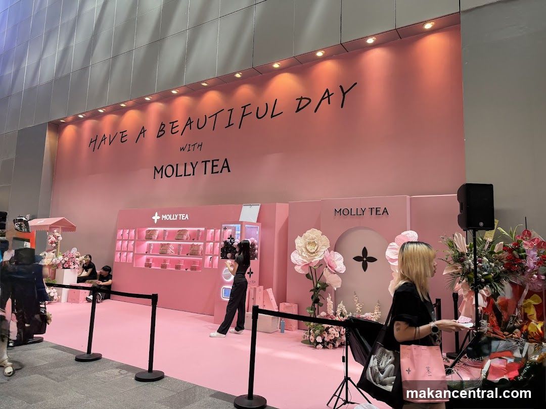Molly Tea Pop-Up Display