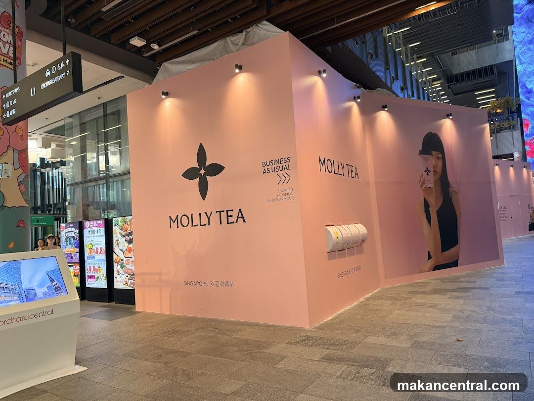 Molly Tea Pop-Up