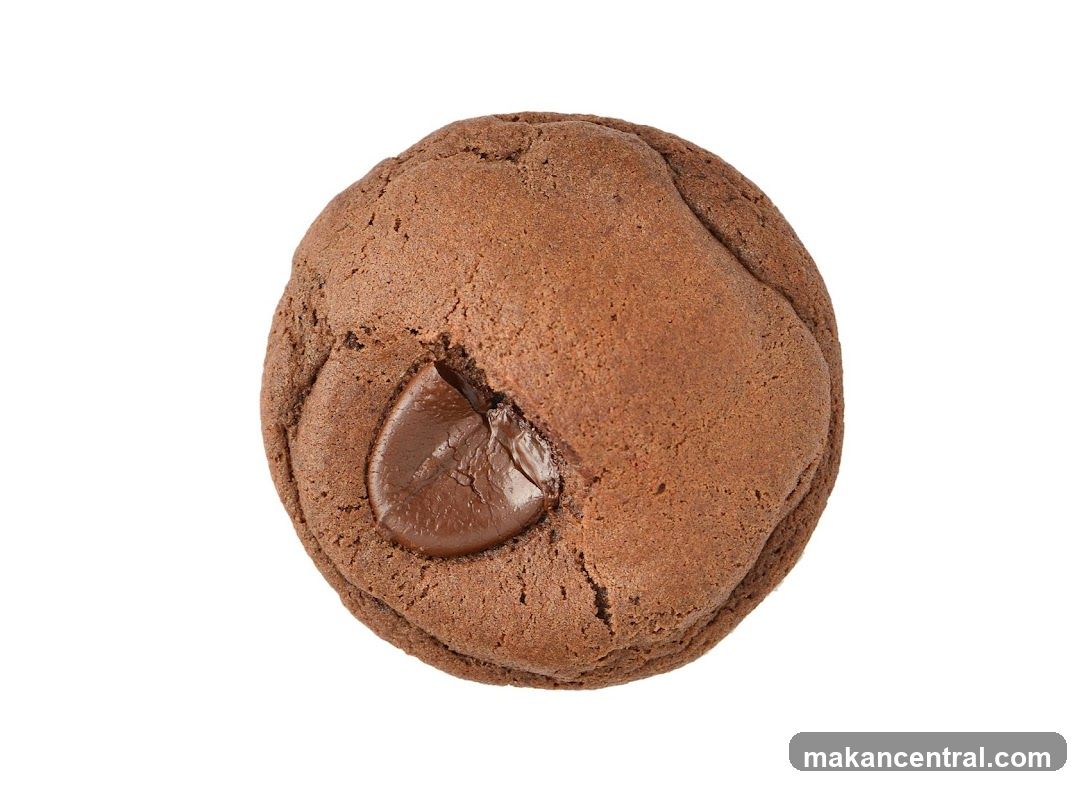Chocolate Chip Cookie