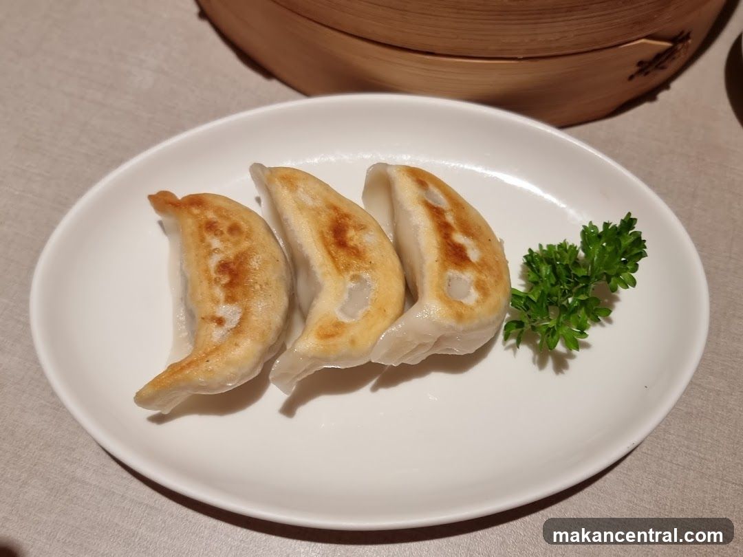 Pan-fried dumplings