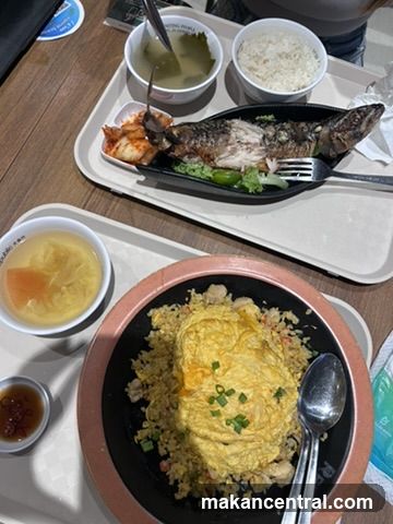 Two Meals on Trays