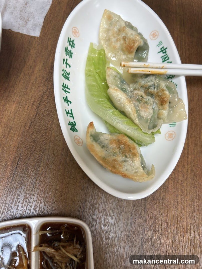 Pan-fried dumplings